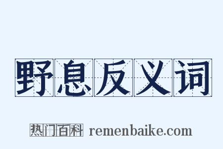 野息反义词是什么意思的图片